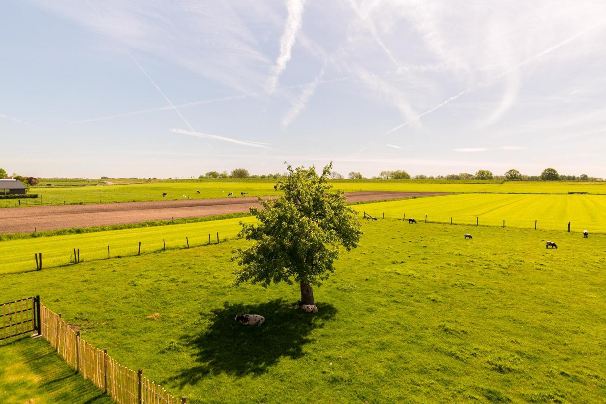 Schalkwijk Boerderij De Zalm B&B 외부 사진