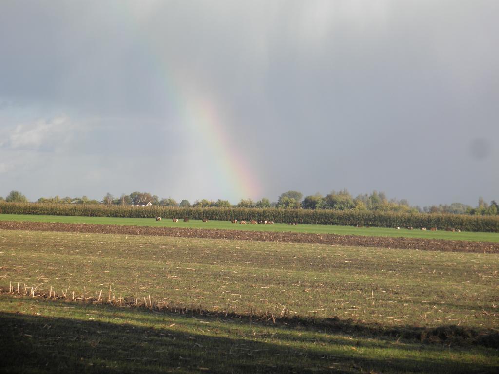 Schalkwijk Boerderij De Zalm B&B 외부 사진